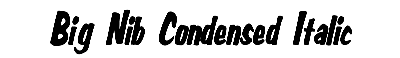 Download Big Nib-Condensed Italic