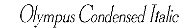 Download Olympus-Condensed Italic
