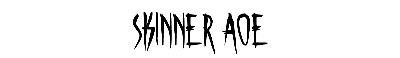 Download Skinner AOE