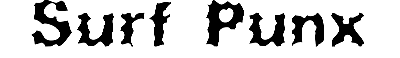 Download Surf Punx